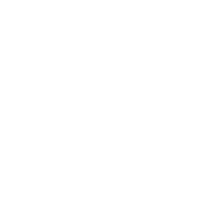 ekoso_front-icon-euro.png